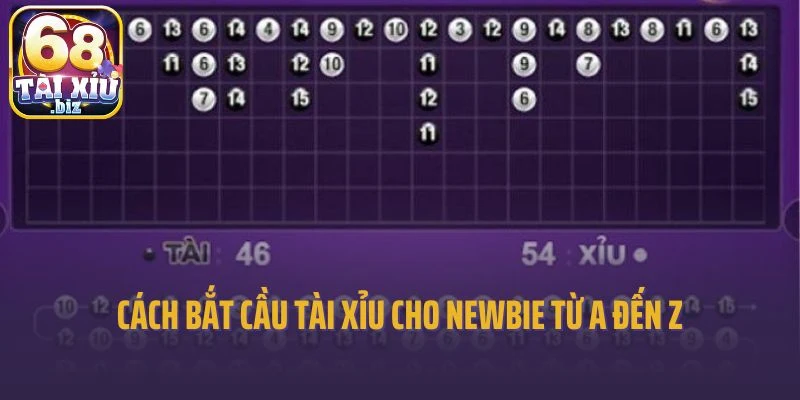 Cách bắt cầu Tài Xỉu cho newbie từ A đến Z