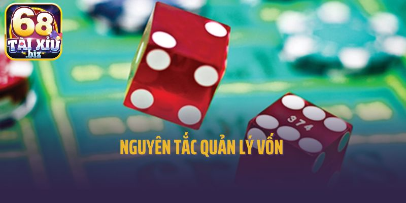 Nguyên tắc quản lý vốn 
