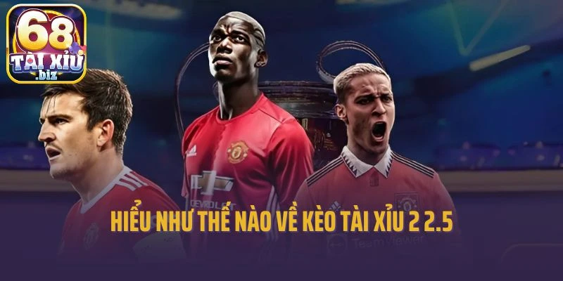 Hiểu như thế nào về kèo tài xỉu 2 2.5