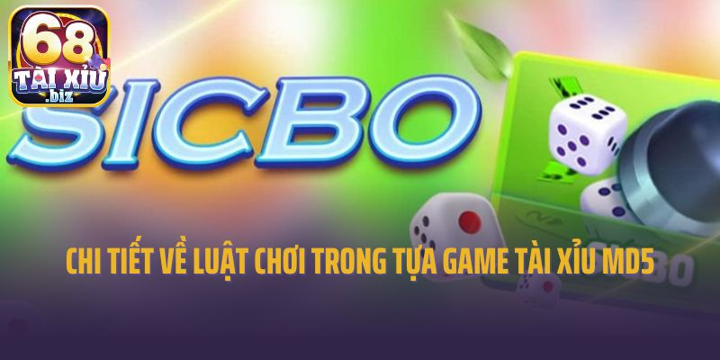 Chi tiết về luật chơi trong tựa game tài xỉu MD5