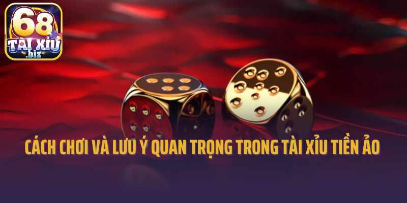 Tìm hiểu về cách chơi và lưu ý quan trọng trong tài xỉu tiền ảo